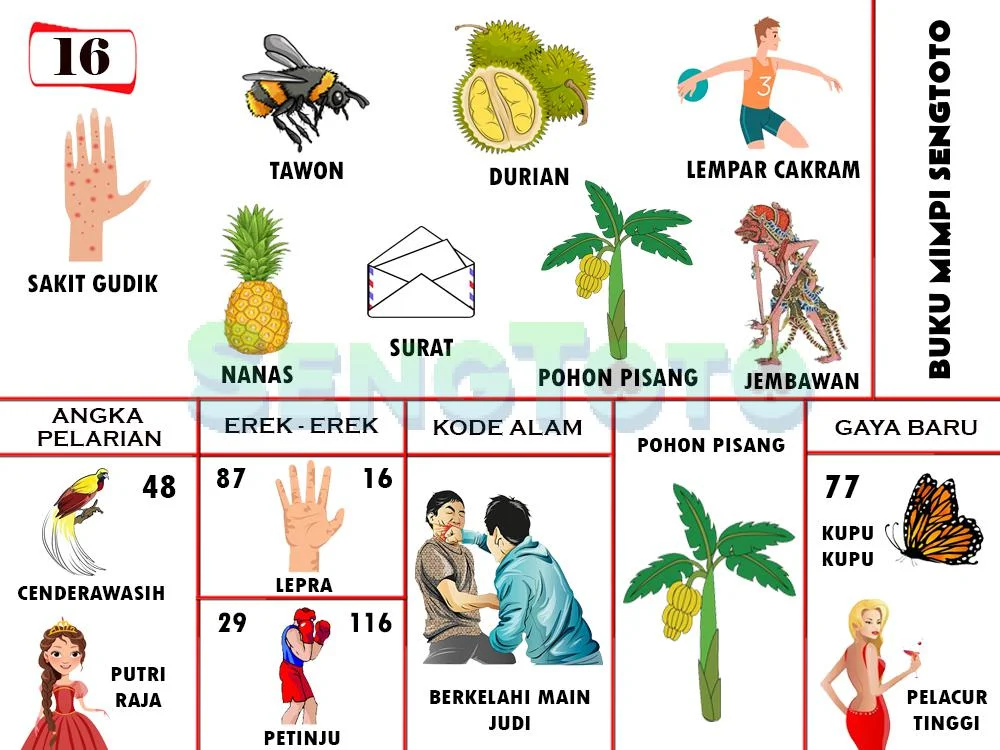 buku mimpi erek erek togel 16